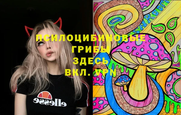 jwh Абаза