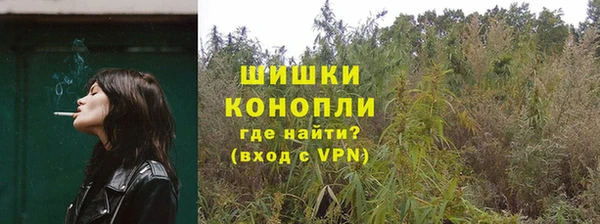 трава Алзамай