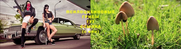 2c-b Алексин