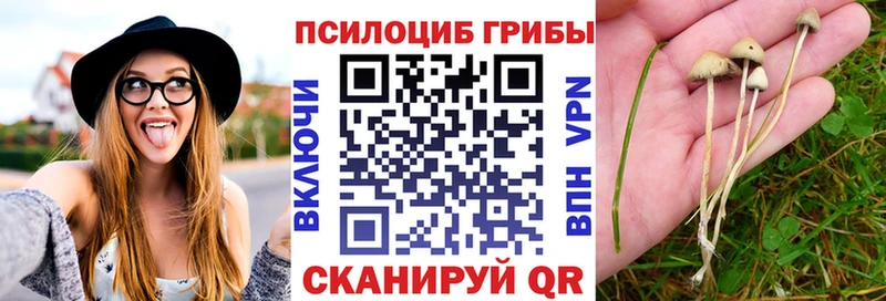Галлюциногенные грибы GOLDEN TEACHER  MEGA   Пойковский 